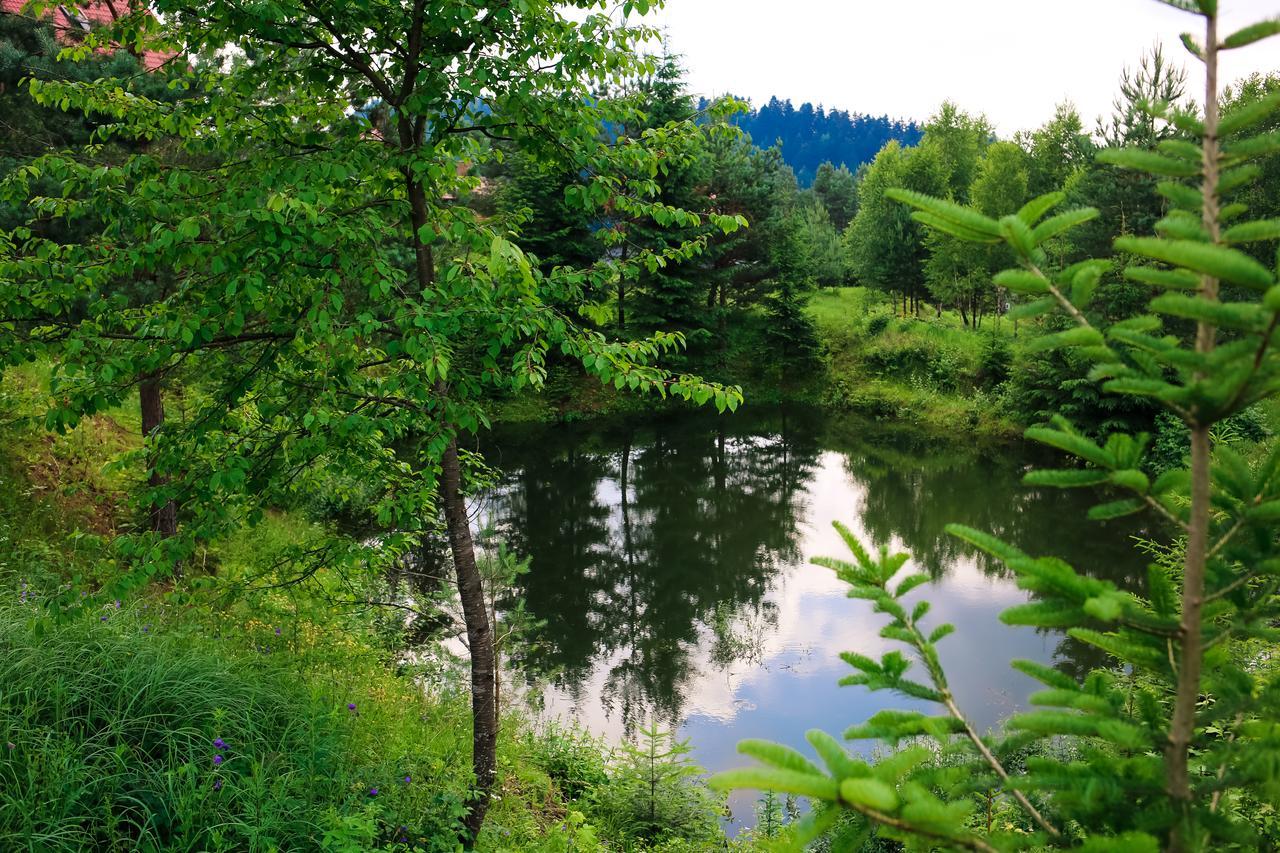 Villa Buhiv Skhidnytsia Екстер'єр фото